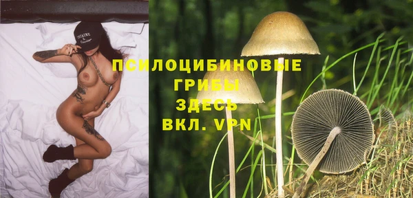 сатива Осташков