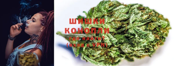 сатива Осташков