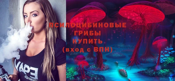 прущие крисы Абаза