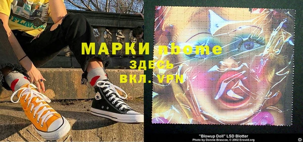 сатива Осташков