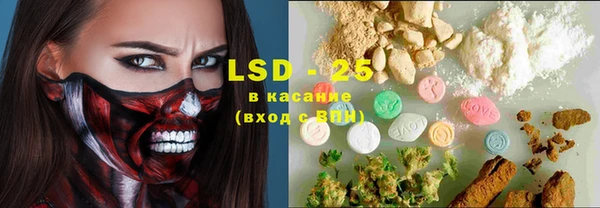 сатива Осташков