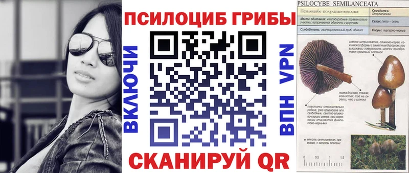 Галлюциногенные грибы GOLDEN TEACHER  как найти   Североуральск 