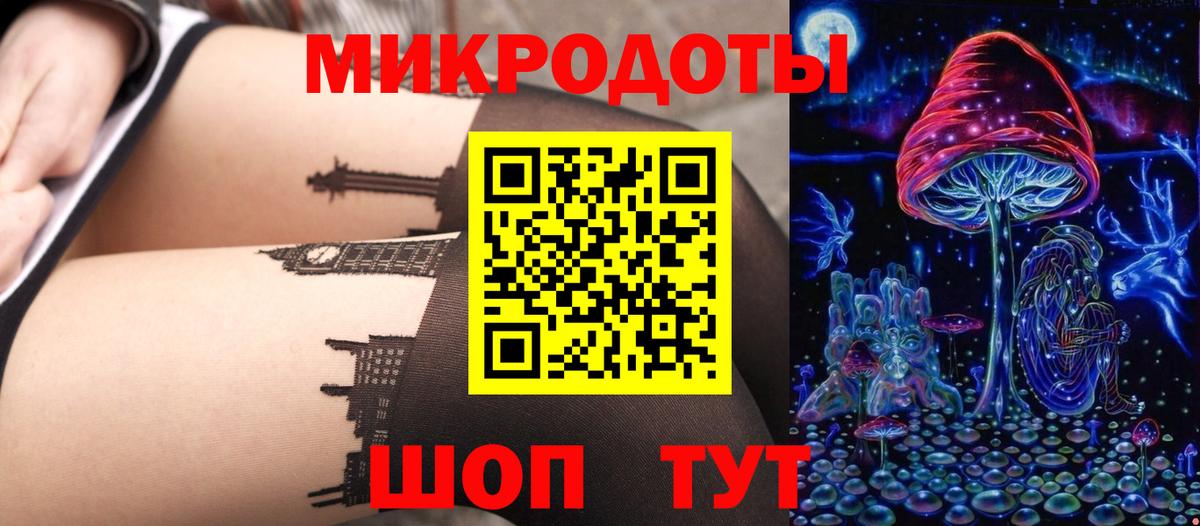 Галлюциногенные грибы Psilocybe Североуральск