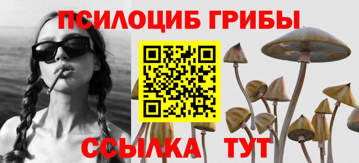 Галлюциногенные грибы Cubensis Североуральск