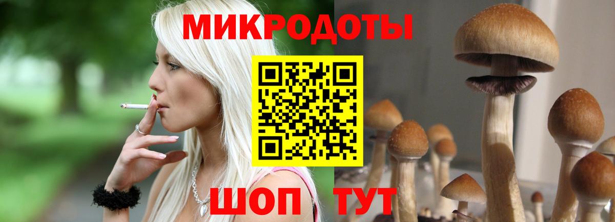 Североуральск  Галлюциногенные грибы GOLDEN TEACHER  Псилоцибиновые грибы GOLDEN TEACHER  Вход с VPN 